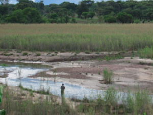 Mushishima Stream, polluted by Vedanta KCM